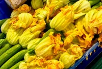Irresistible Zucchini Delights