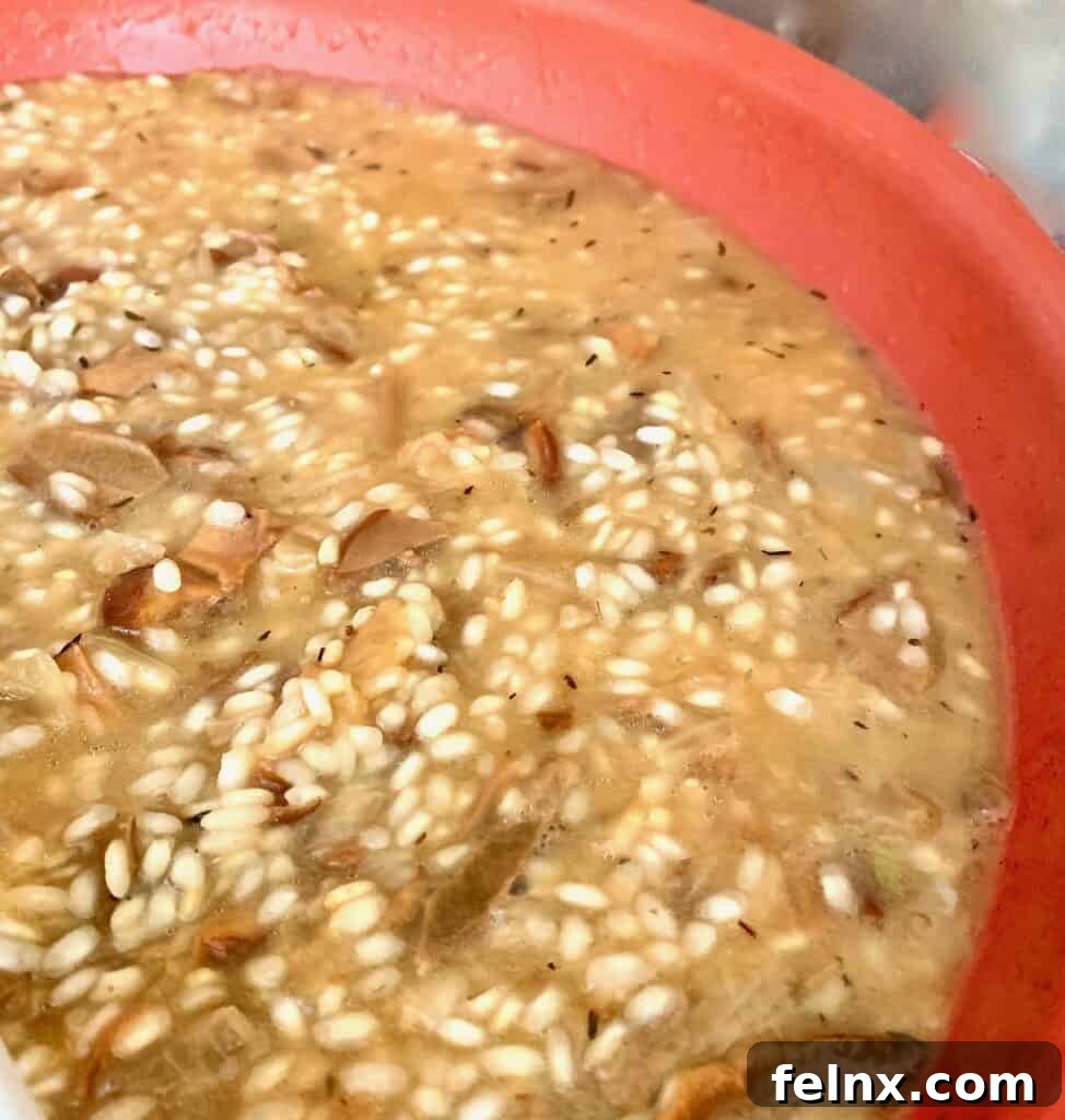 Adding Broth to Risotto