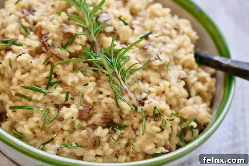 Cooking Risotto Process