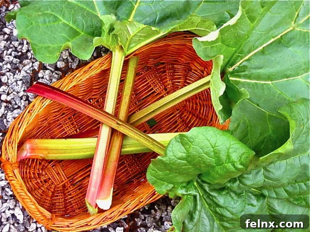Slicing strawberries and rhubarb for a cocktail