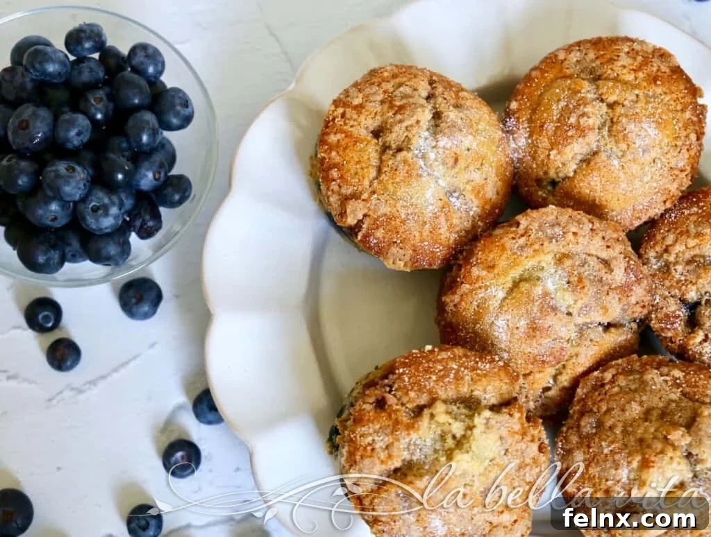 Fresh Blueberry Muffins with Streusel Topping