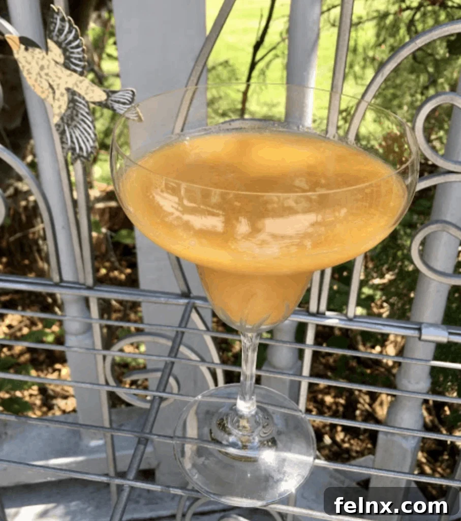 Beautiful Bellini presentation