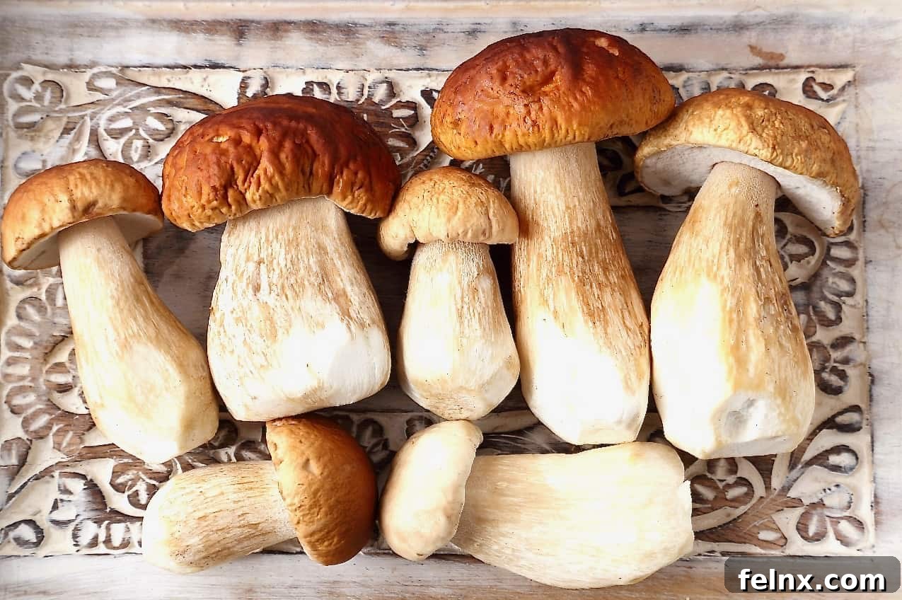 Porcini and Cremini Mushrooms