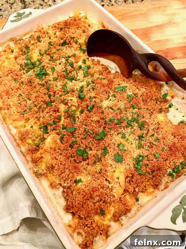 The finished golden brown turkey tetrazzini