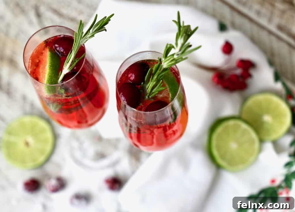Close up of sparkling Cranberry and Pomegranate Bellini