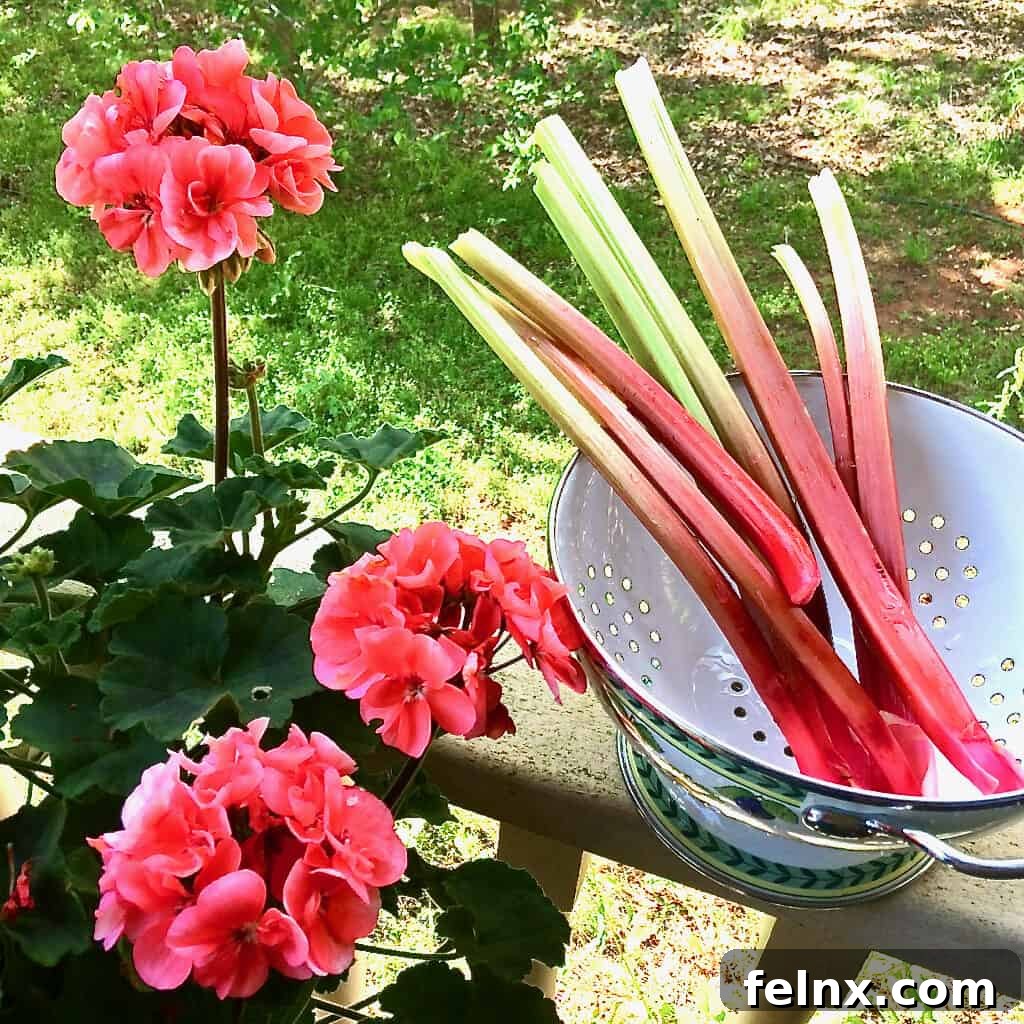 Sliced strawberries and rhubarb on a cutting board