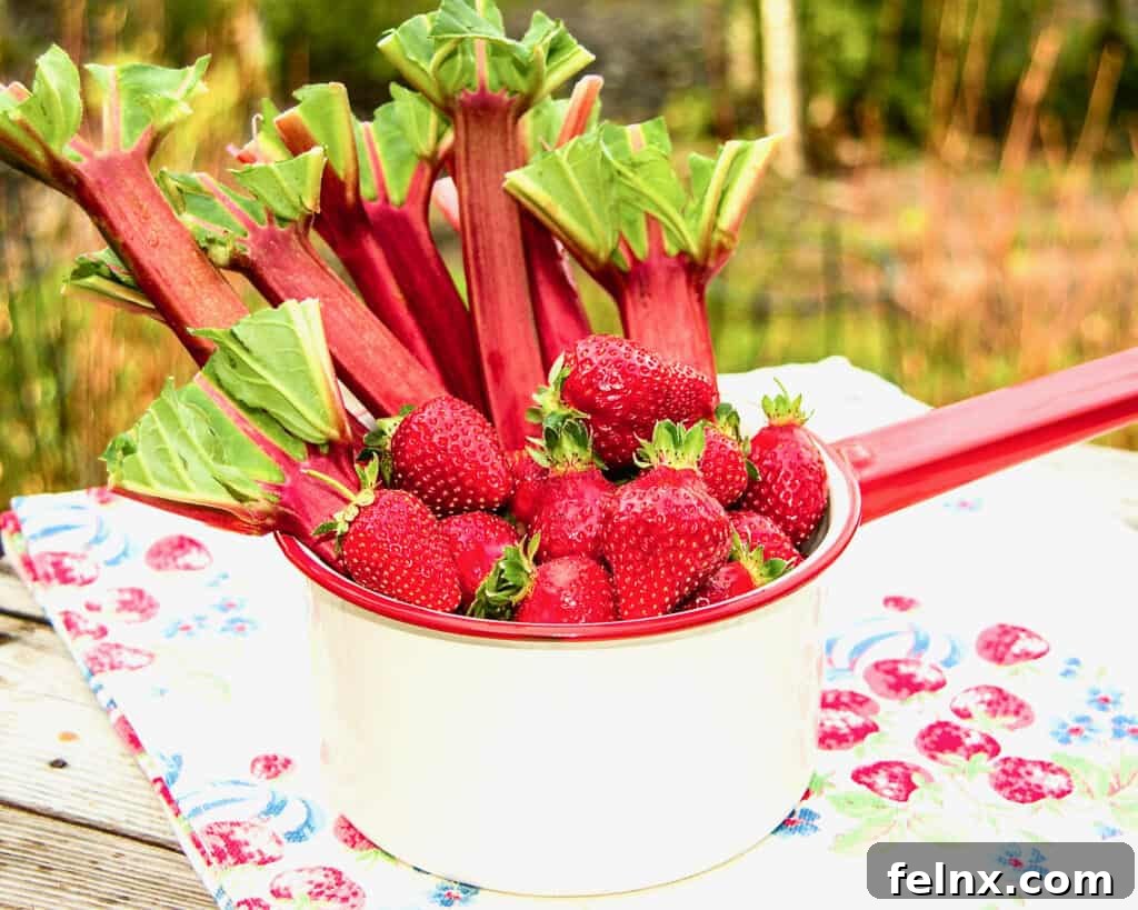 A pot filled with fresh red strawberries