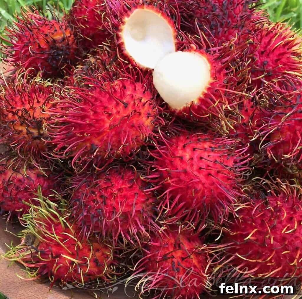 Fresh Rambutan Fruit