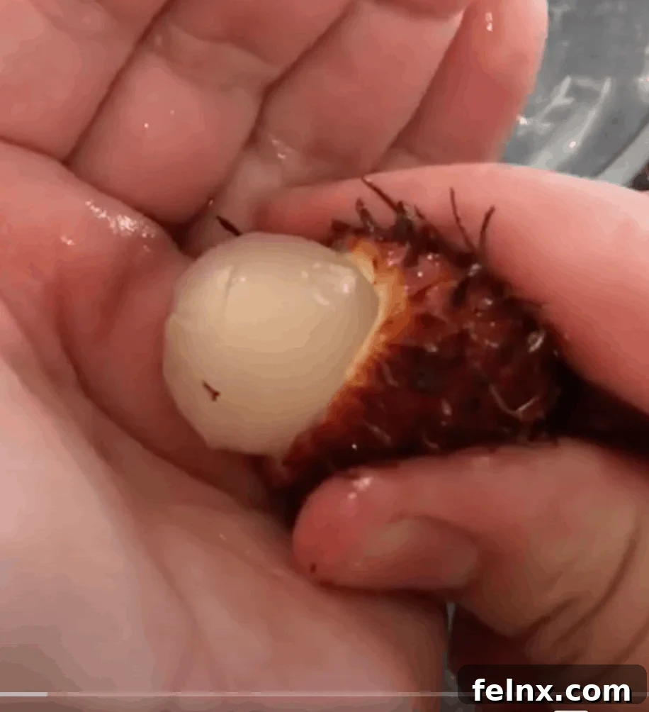 Pureeing Rambutan