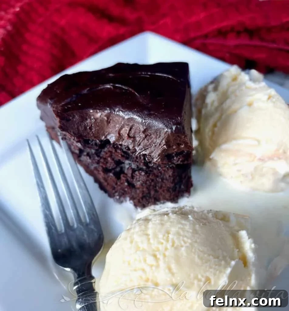 Close up of chocolate cake texture