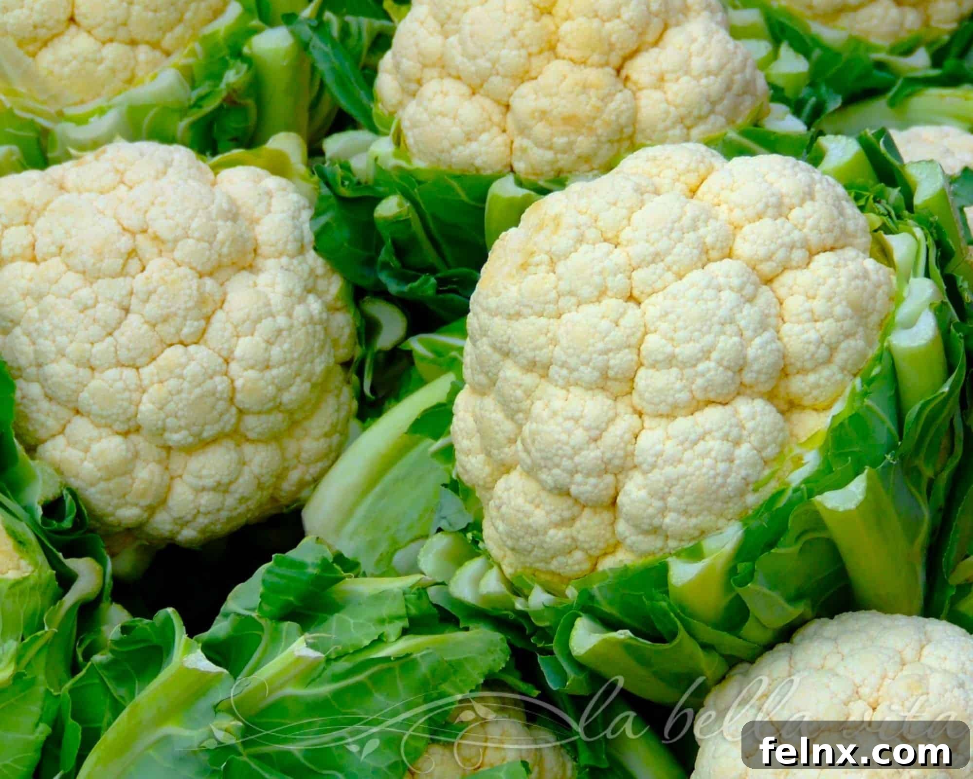 Healthy Roasted Cauliflower au Gratin