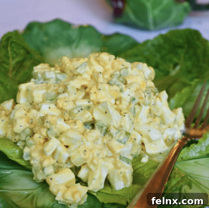 The Ultimate Collection of Forty Best Egg Salad Recipes 2 Classic Egg Salad Sandwich