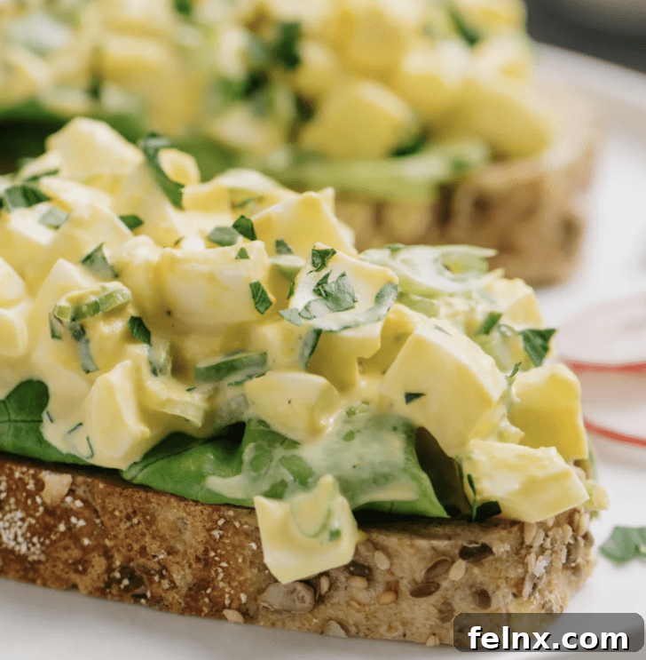 The Ultimate Collection of Forty Best Egg Salad Recipes 22 Classic Style