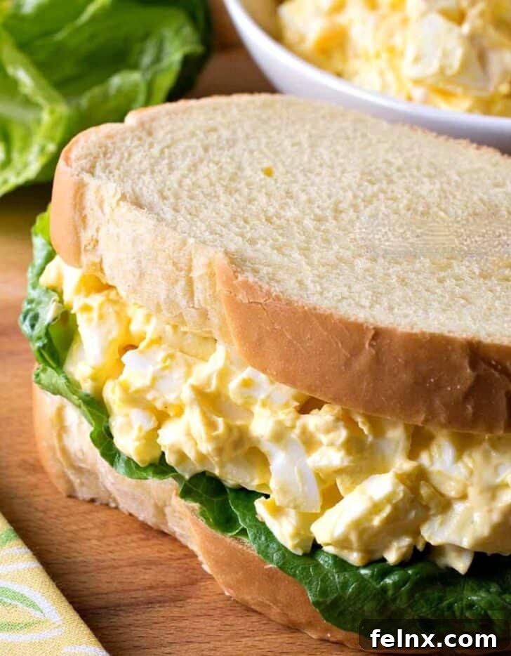 The Ultimate Collection of Forty Best Egg Salad Recipes 31 Family Feast