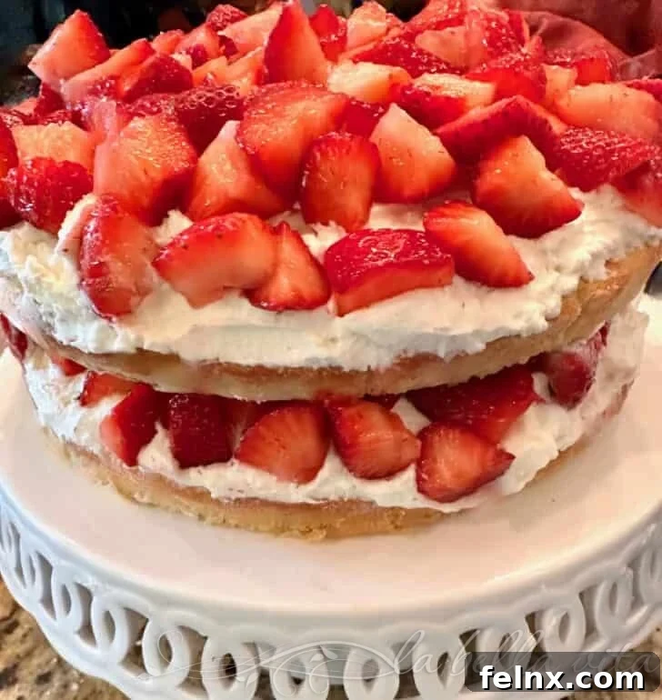 Side view of the assembled strawberry layer cake