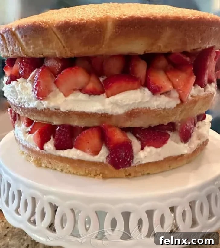 Strawberry Cake with Sweet Mascarpone Cream and whole berries on top