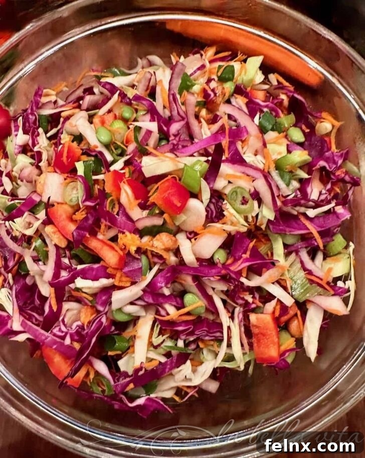 Serving Suggestions for Asian Salad