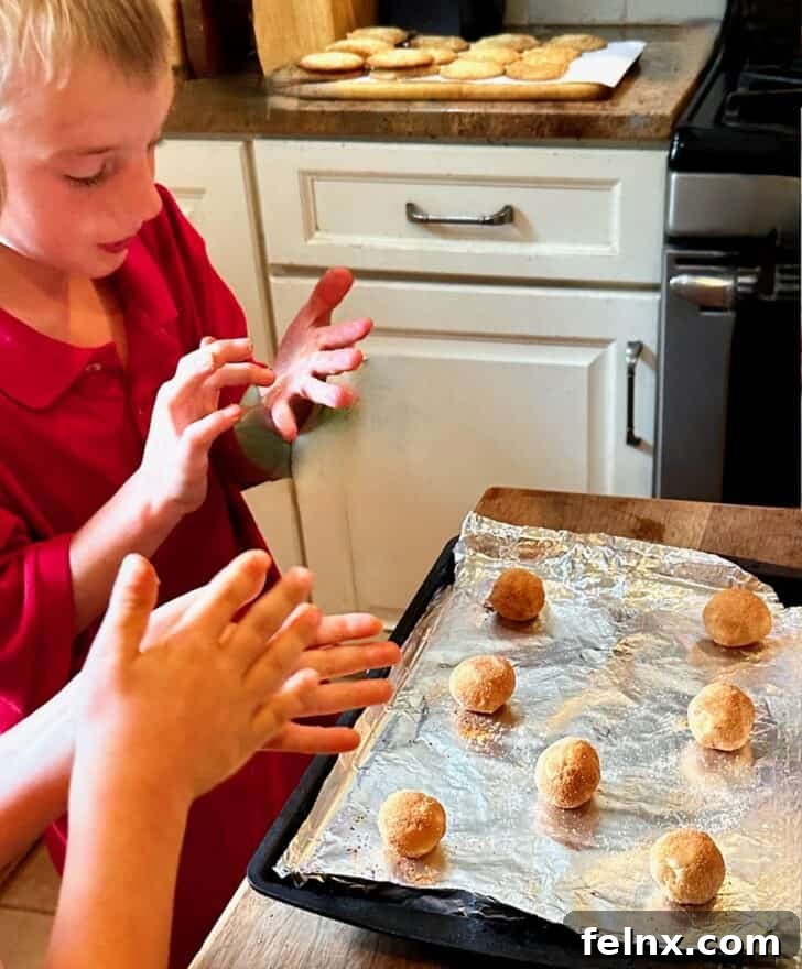 Freshly baked snickerdoodle cookies