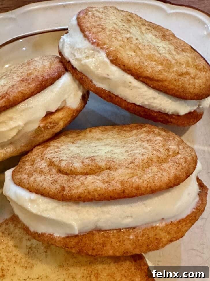 Final plated ice cream sandwiches