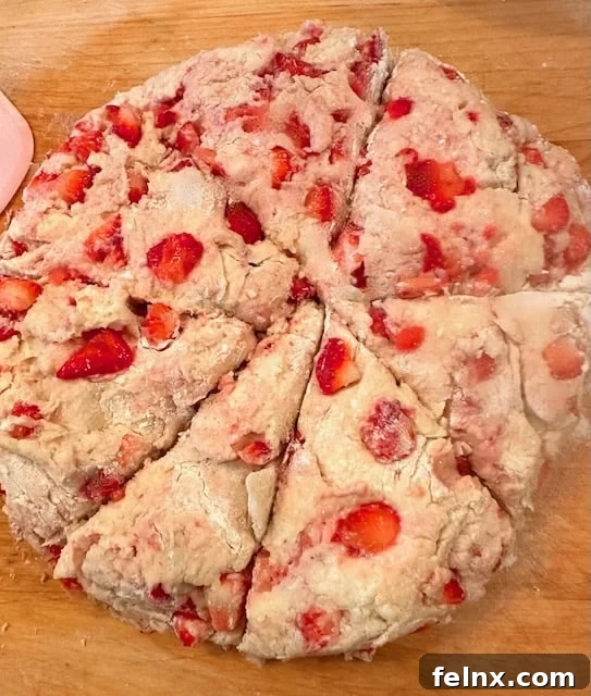 Scones ready for the oven