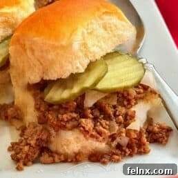 Iowa Maid-Rite Sandwich Close Up