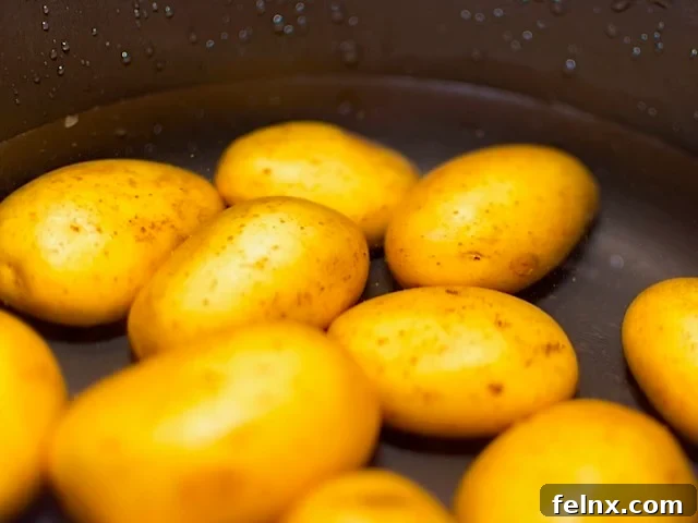 Boiling Potatoes