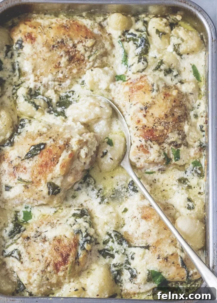 Creamy Garlic Asiago Chicken and Gnocchi