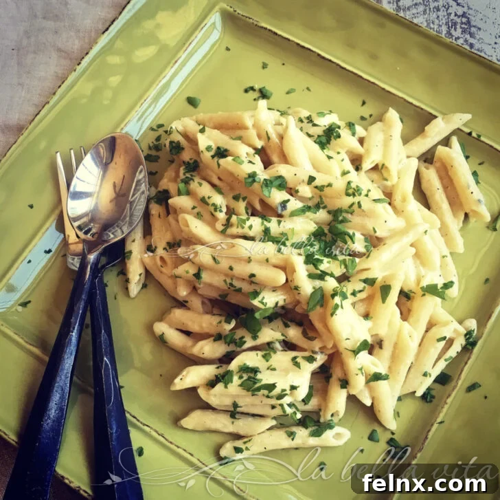 Pasta Quattro Formaggio with Creamy Cheese Sauce