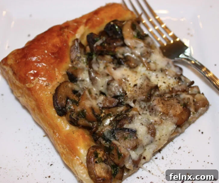 Savory Mushroom and Asiago Cheese Tart