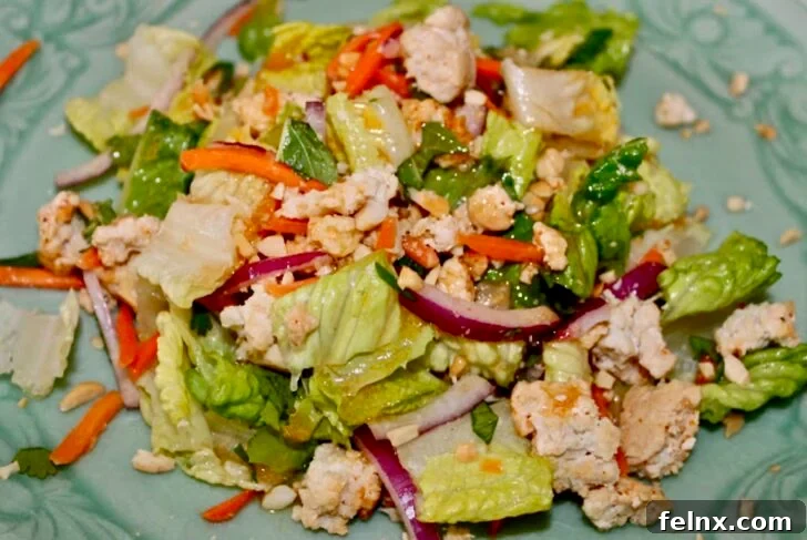 Thai Chicken Laab Salad with Herbs