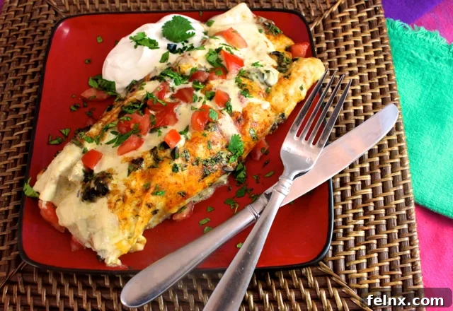 Delicious Creamy Chicken Enchiladas