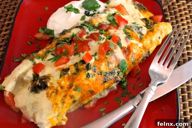 Close up of cheesy enchilada texture