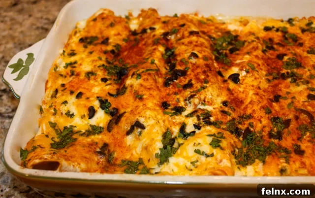 Baked golden cheesy enchiladas