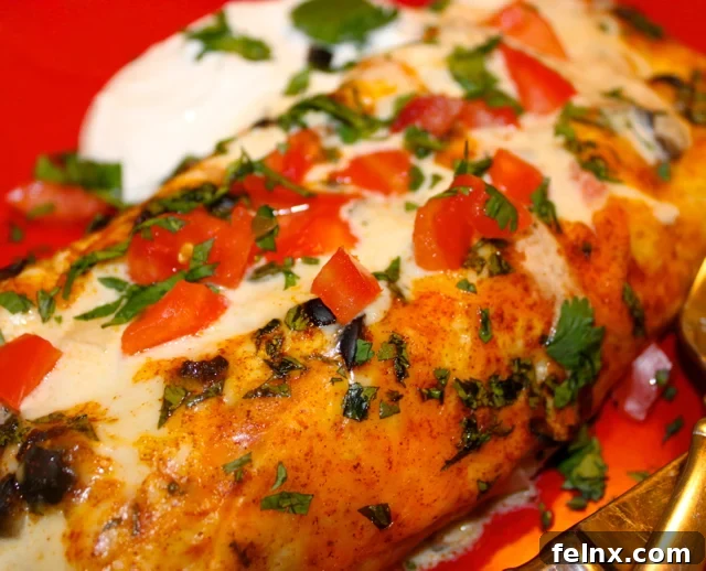 Garnished chicken enchiladas with cilantro