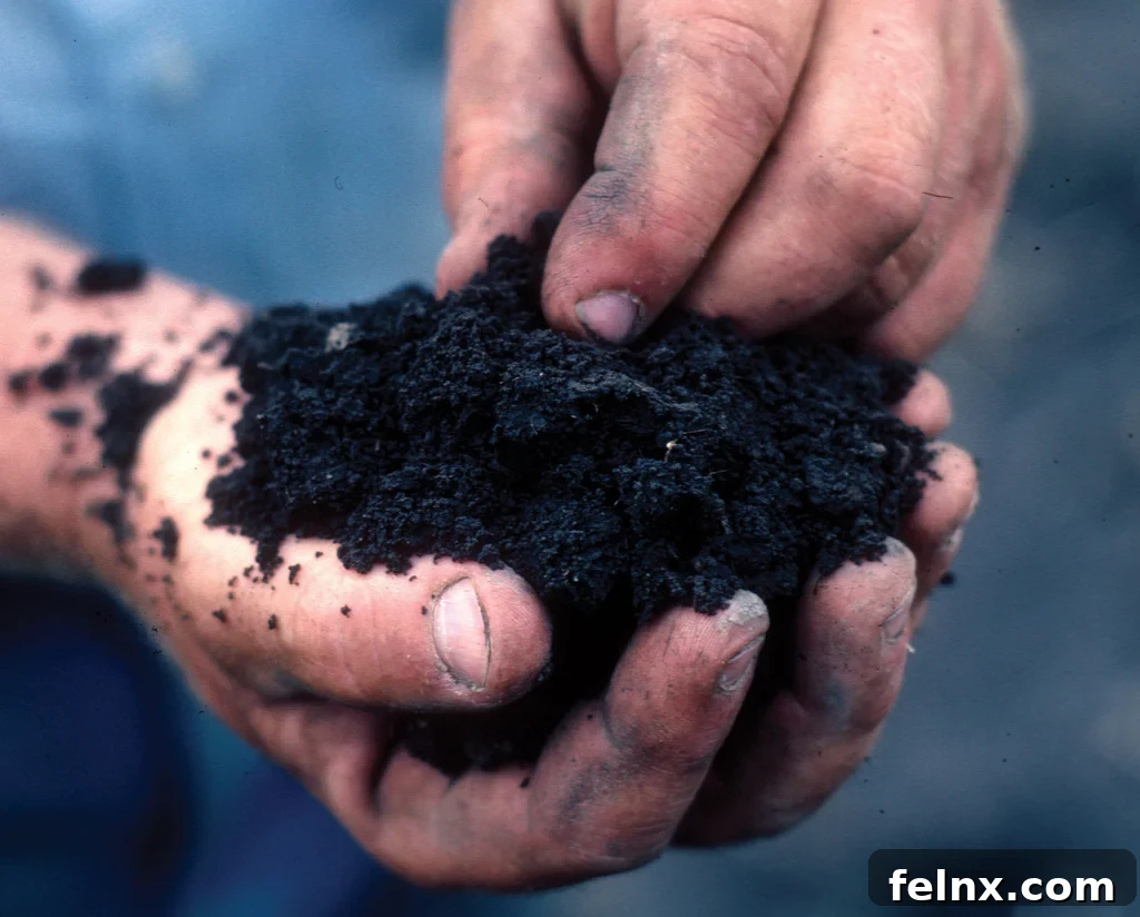 Touch Healthy Soil