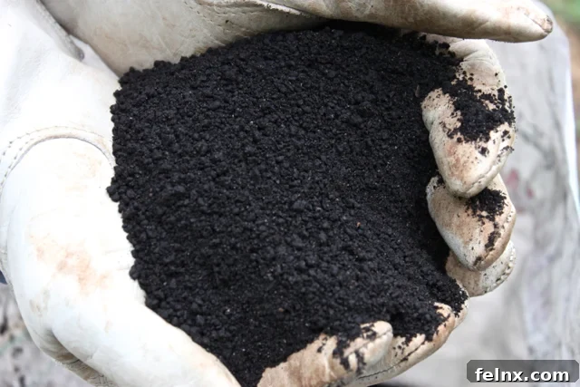 healthy soil and worms