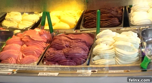Tempting Display of Genuine Italian Gelato on the Hawaiian Islands