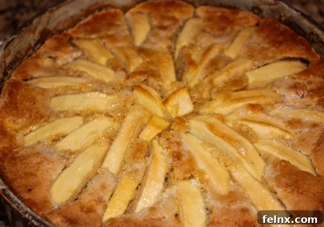 Rustic Italian Apple Torte Close-up