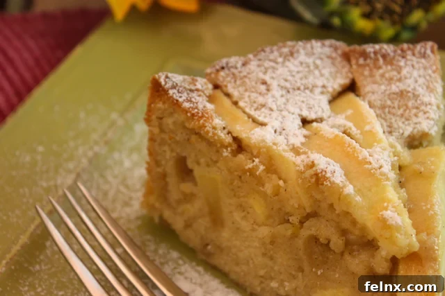 Inside view of Apple Torta showing chunks of fruit